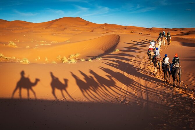 Merzouga Camel Ride & Overnight Desert Camps - Additional Information