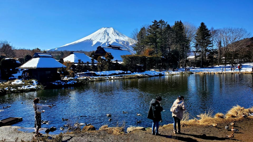 Mt. Fuji and Hakone: Full Day Private Tour W English Guide - Scenic Boat Cruise on Lake Ashi