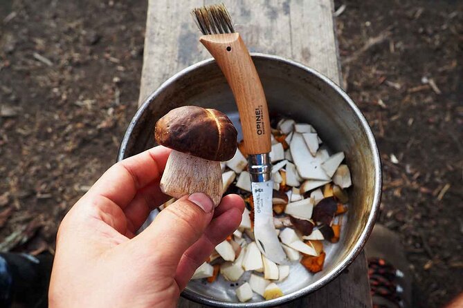 Mushroom Hunting in a National Park - Included Amenities