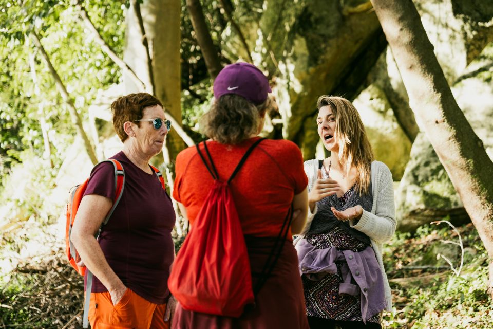 Pena Palace, Moorish Castle,Quinta Ad Regaleira:Walking Tour - Included and Exclusions