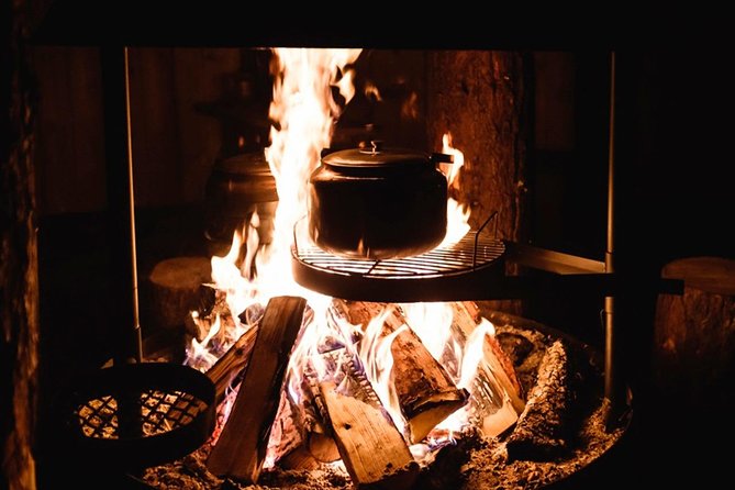 Reindeer Camp Dinner With Chance of Northern Lights in Tromso - Recommended Timing and Accessibility