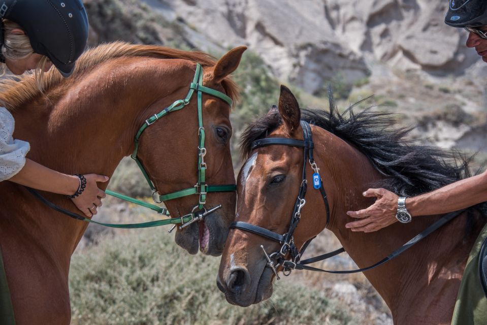 Santorini: Horse Riding Trip to Black Sandy Beach - Guided Tour Details