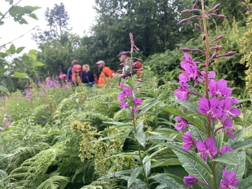 Seward: Guided Wilderness Hike With Transfer - Why Choose This Adventure