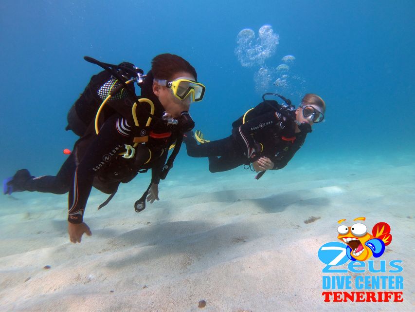 Tenerife: Abades Beach Beginner Diving Experience - Tips for First-Time Divers