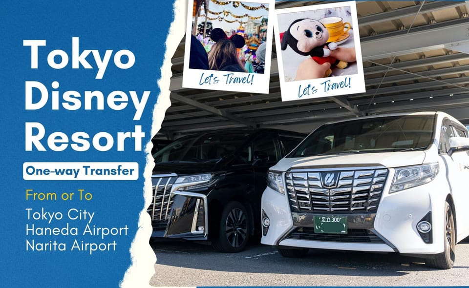 Tokyo Disney Resort Private Transfer: Tokyo, Narita & Haneda - Customer Experience Highlights