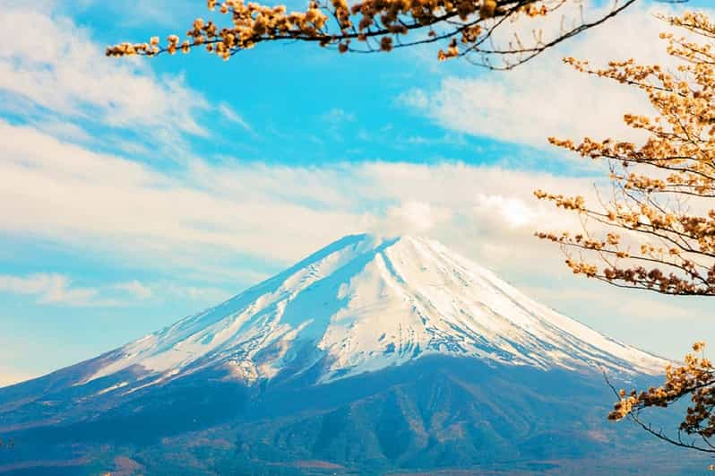 Tokyo: Mt. Fuji 5th Station, Oshino Hakkai, Onsen 1-Day Trip - Meeting Point