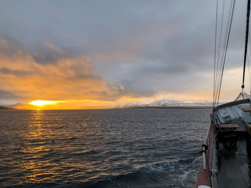 Tromsø: Arctic Fishing & Seafood Fjord Cruise on Luxury Yacht - Luxury Yacht Experience