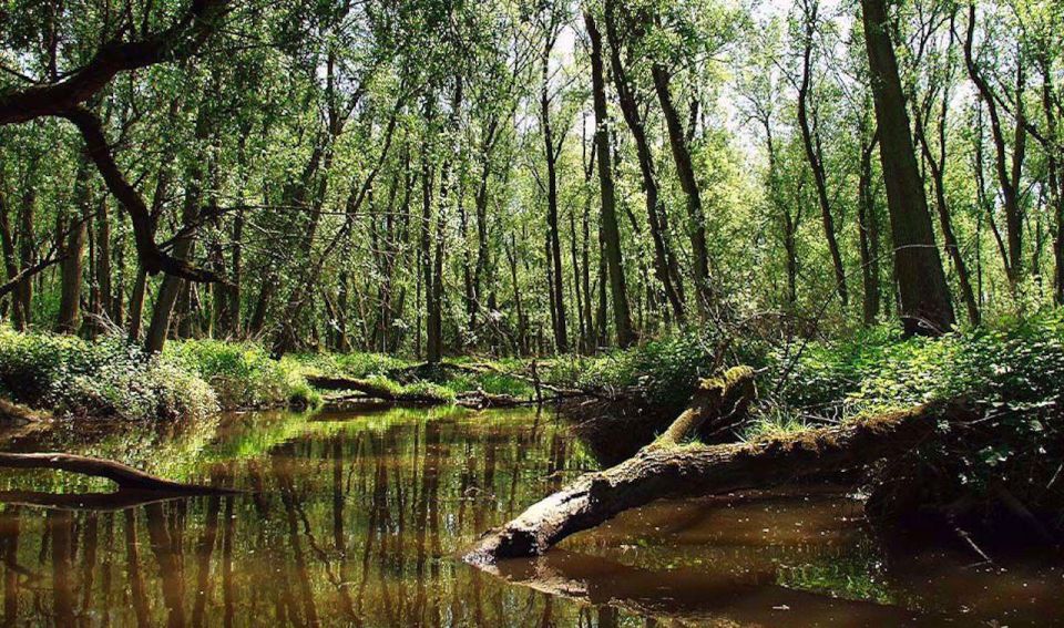 Biesbosch: Boat Cruise Through National Park - Frequently Asked Questions