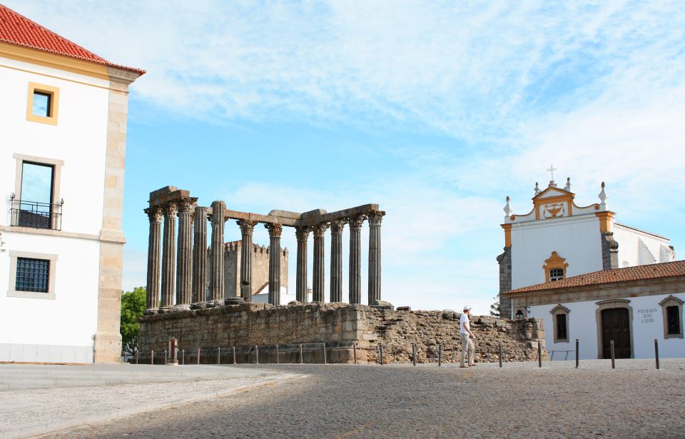 Évora: Full-Day Wine Tour - Recap