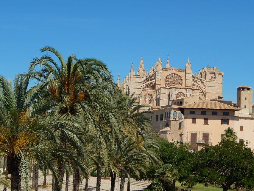 Palma Old Town for the First Time - Things To Known