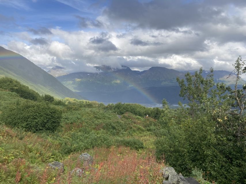 Seward: Guided Wilderness Hike With Transfer - Frequently Asked Questions