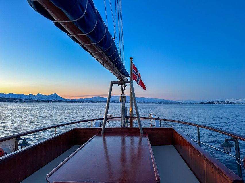 Tromsø: Arctic Fishing & Seafood Fjord Cruise on Luxury Yacht - Frequently Asked Questions