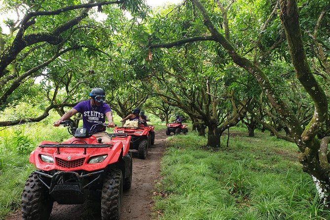 ATV Tour of St Kitts - Traversing the Rugged Interior