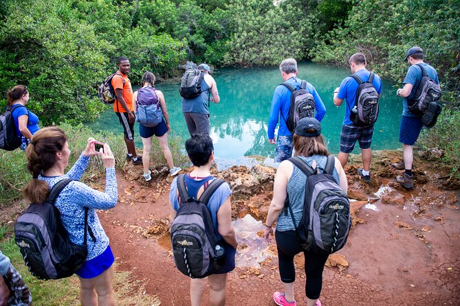 Bermuda Hidden Gems Half-Day Winter Excursion - Key Points