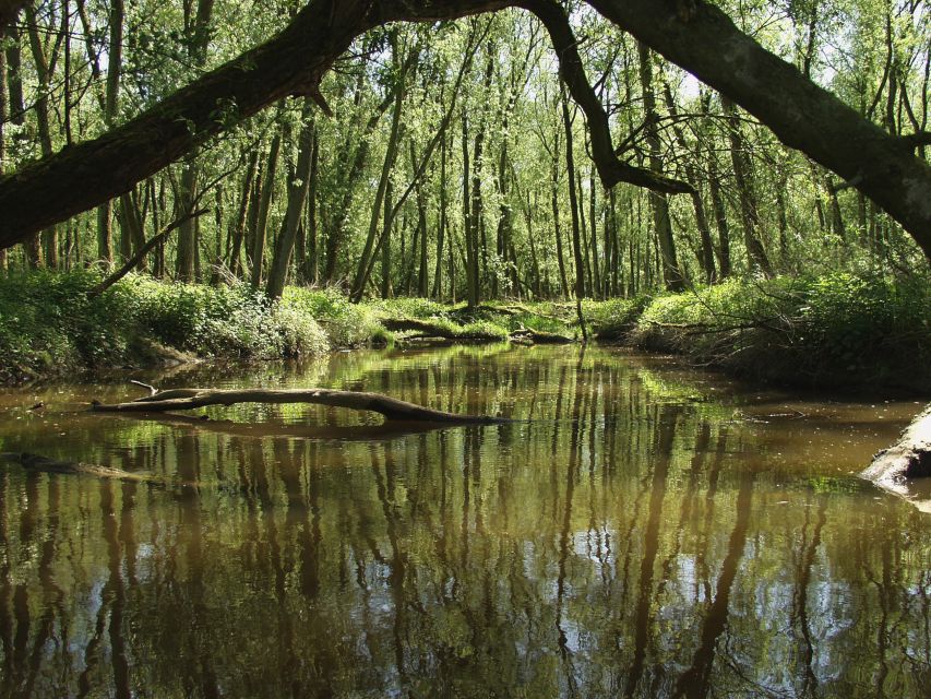 Biesbosch: Boat Cruise Through National Park - Key Points