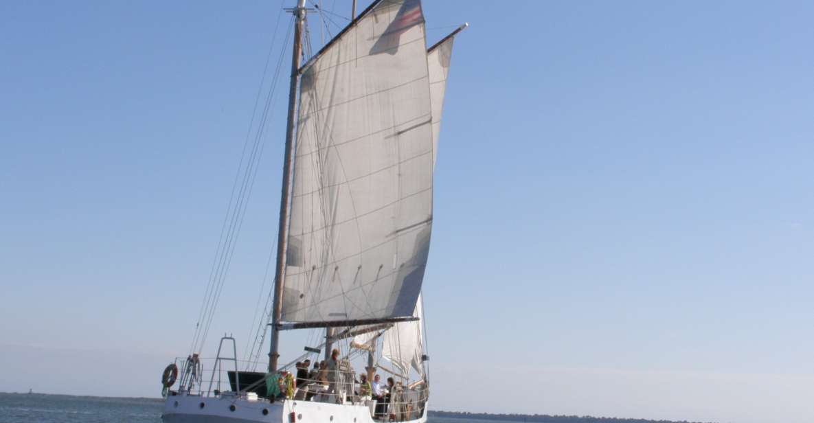 Charleston: Schooner Sailing Harbor Tour & Dolphin Watch - Key Points