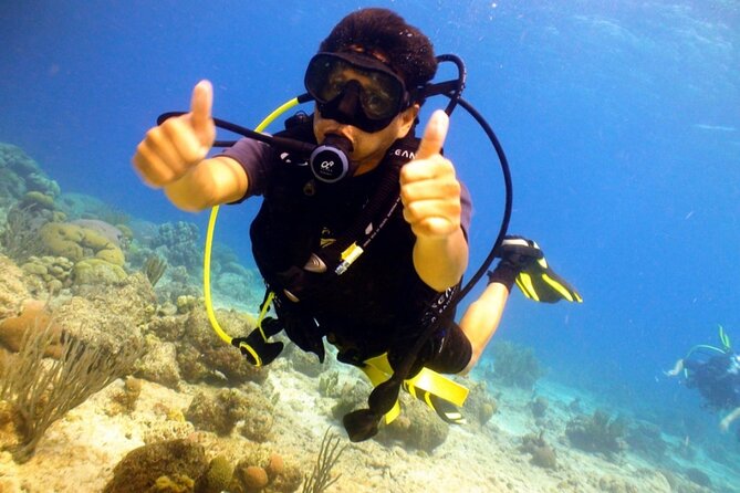 Discover Diving in Curaçao With Transportation Included - Overview of Included Activities