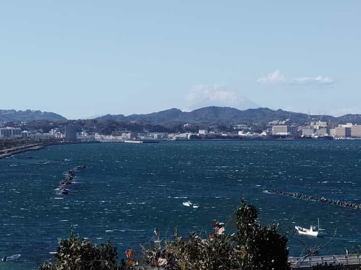 Discover Priceless Yokosuka in Special One-Day Walking Tour - Key Points