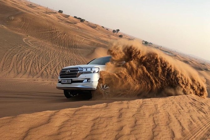 DXB Red Dune Desert Safari, Sand Boarding, Camel Ride, Live Shows, BBQ Dinner - Key Points