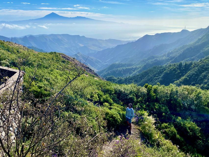 From Los Cristianos: La Gomera Island Full-Day Trip - Key Points