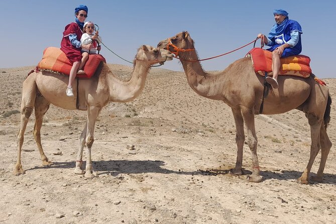 From Marrakech: Agafay Desert Dinner With Camel Ride - Tour Overview