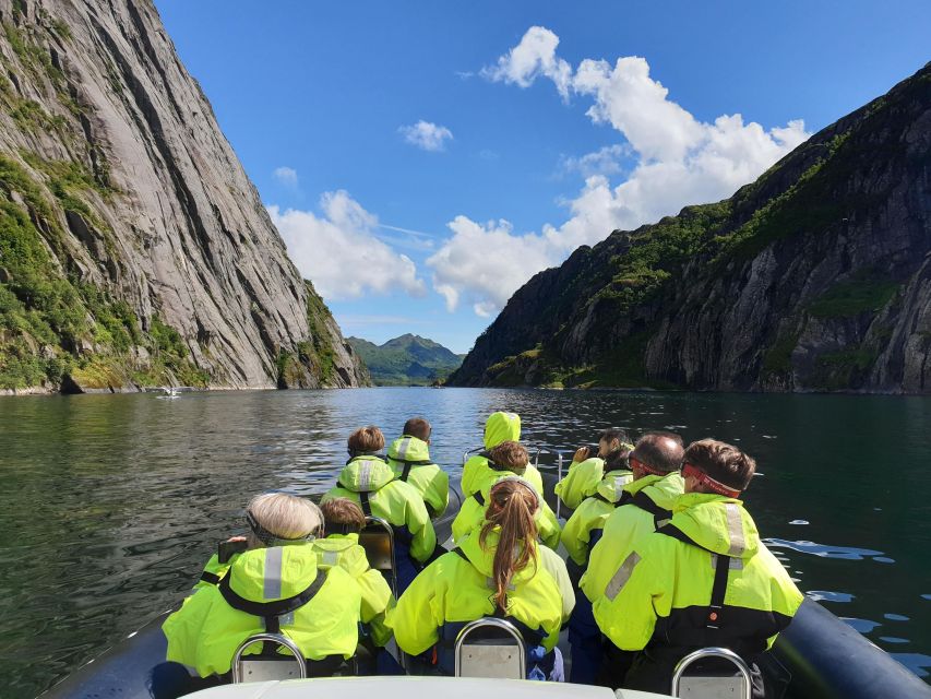 From Svolvaer: Trollfjorden Wildlife RIB Cruise - Key Points