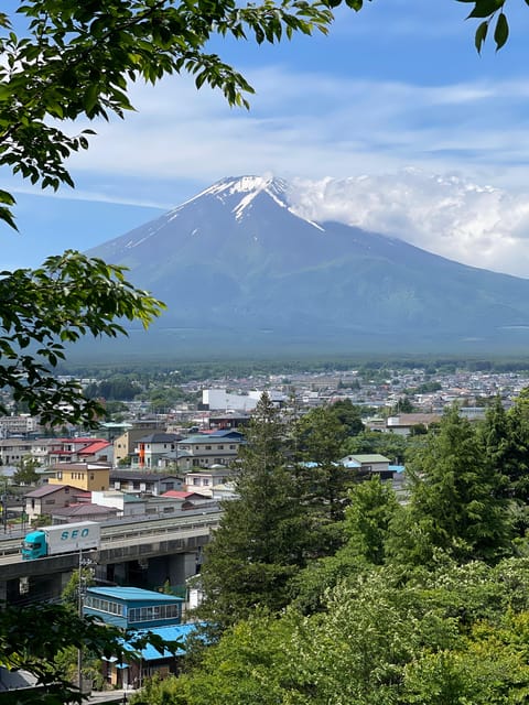 From Tokyo: Private Mt. Fuji Tour With Guide - Key Points