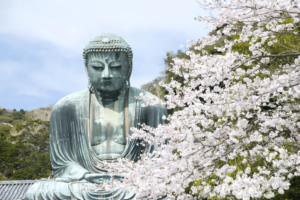 From Tokyo to Kamakura: Great Buddha & Slam-Dunk Fan Tour - Inclusions and Exclusions