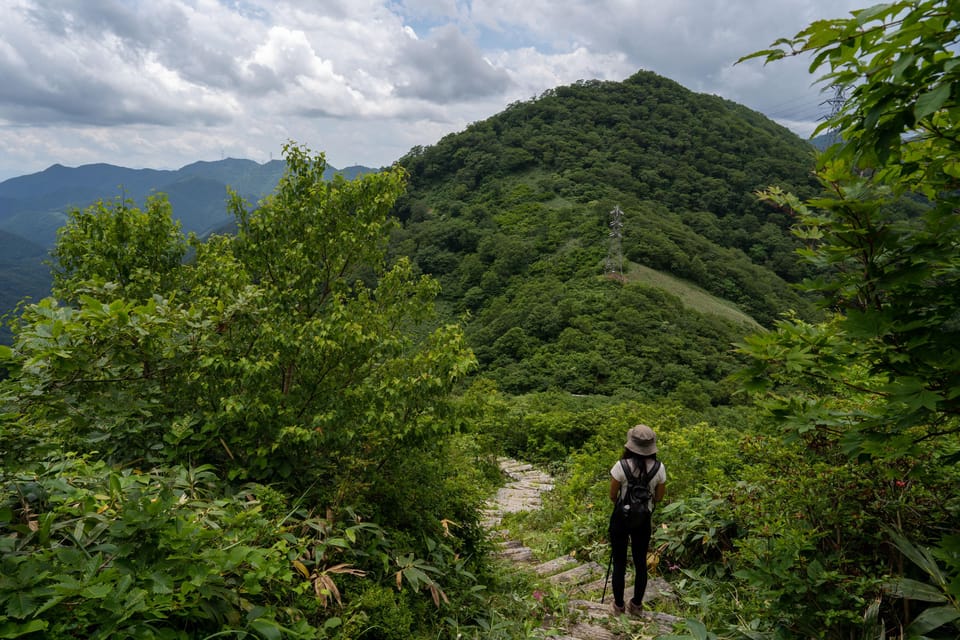 Half Day Hike To the Top of Old Mikuni-kaido Pass - Key Points