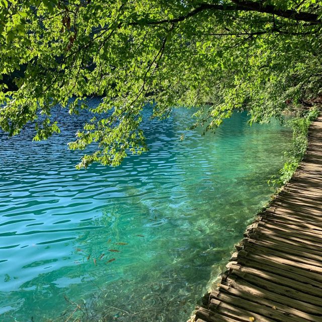 Half Day Tour Around Plitvice Lakes - Key Points