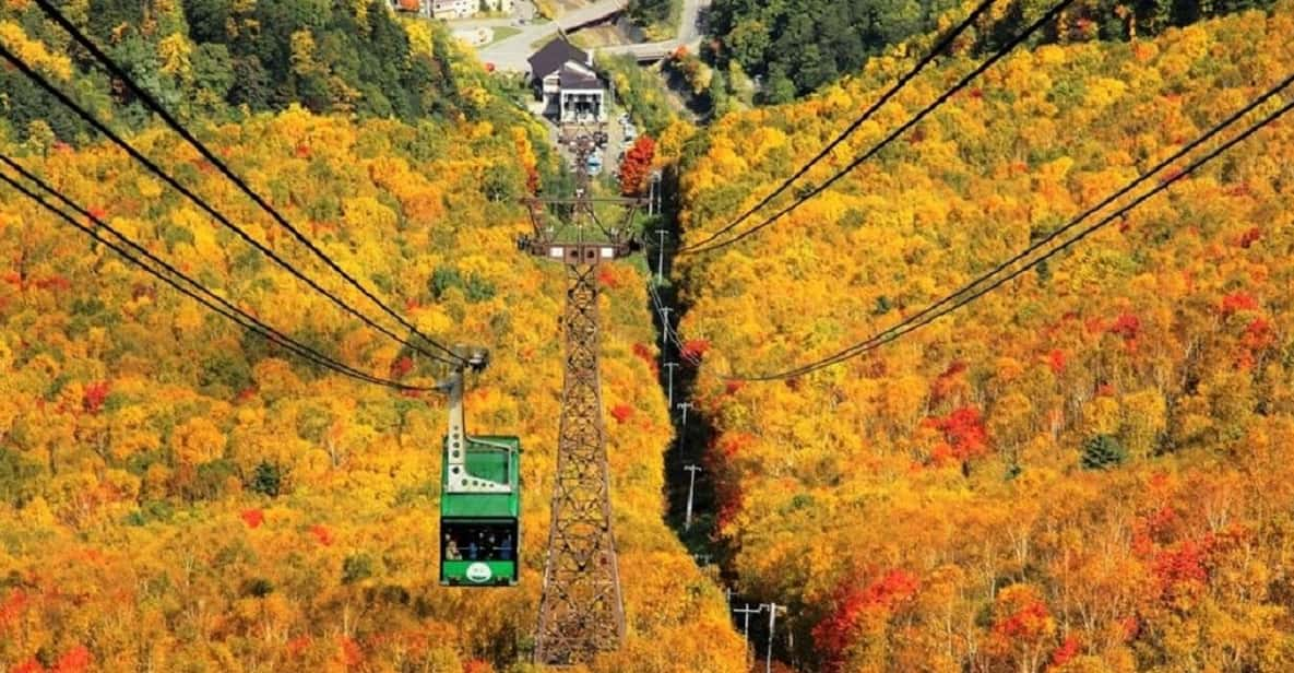 Hokkaido Kurodake Ropeway Tour Review - Tour Overview and Pricing