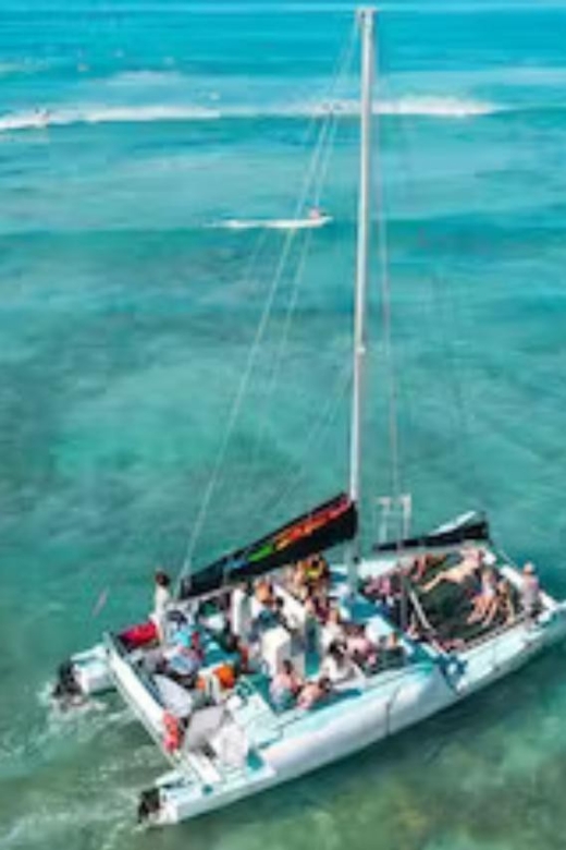 Honolulu: Marine Life Boat Tour on Waikiki Catamaran Charter - Key Points