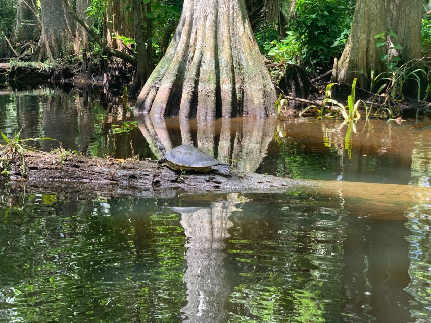 Jupiter: Loxahatchee River Scenic Kayak Tour - Key Points