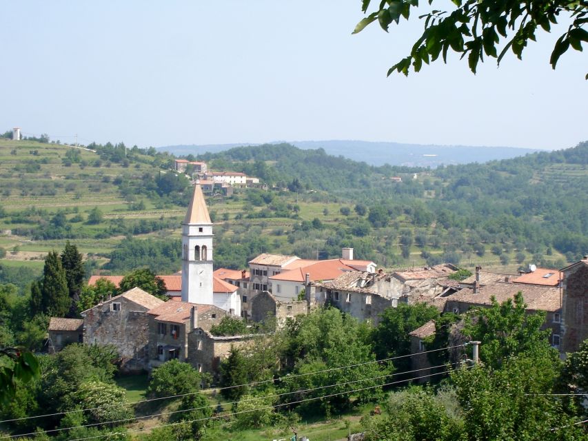 Koper: Flavors of Istria Tour to Hum, Grožnjan, & Motovun - Tour Overview and Details