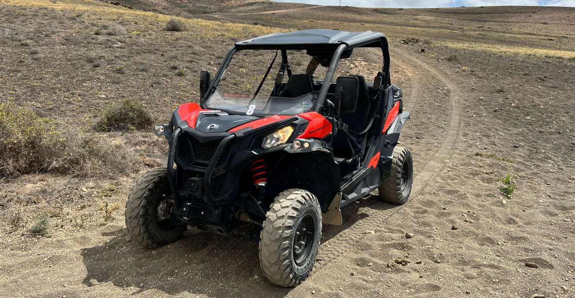 Lanzarote: Guided Can-Am Trail Buggy Tour - Key Points