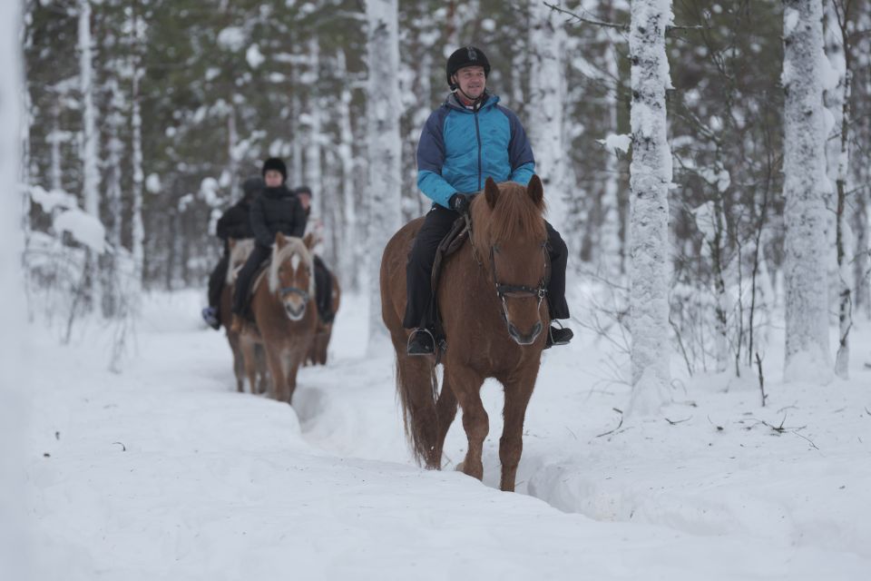 Levi: Snowy Forest Ride and Polar Lights Tours - Key Points