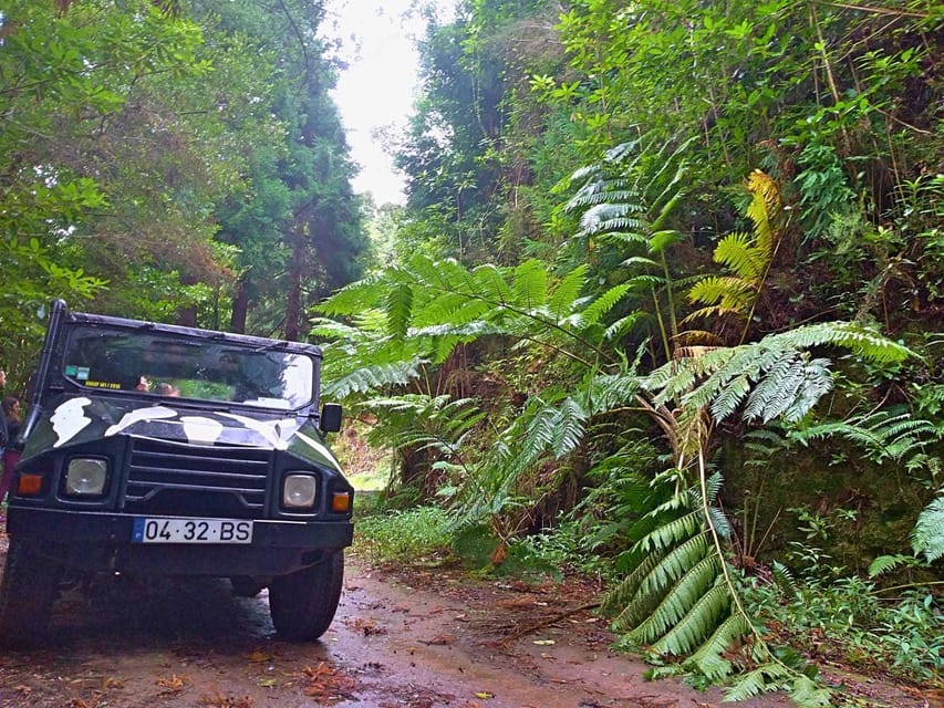 Madeira: Jeep Safari Tour - Key Points