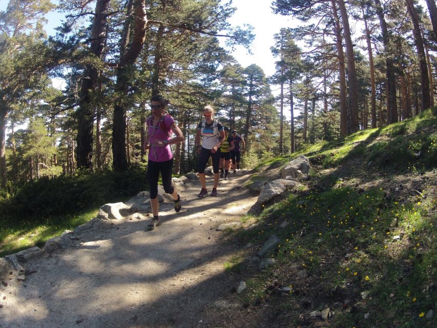 Madrid: Trail Running Day Trip - Key Points