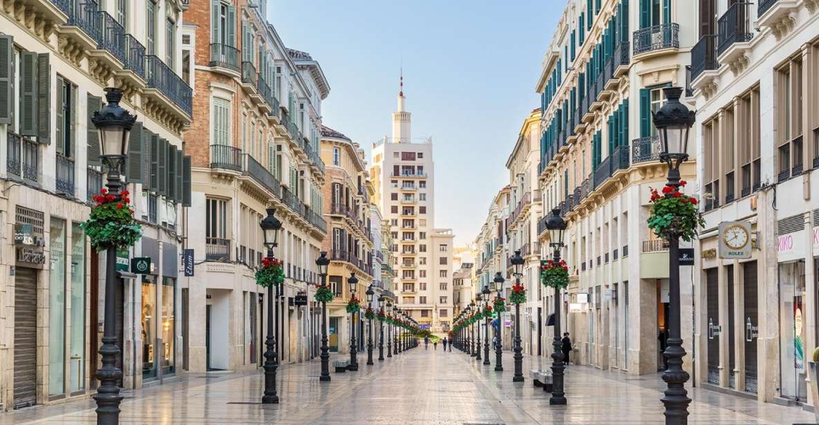 Malaga: Private and Customized Sightseeing Walking Tour - Key Points