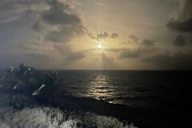 Moonlight HARP Gun Hike in Barbados - Overview of the Activity