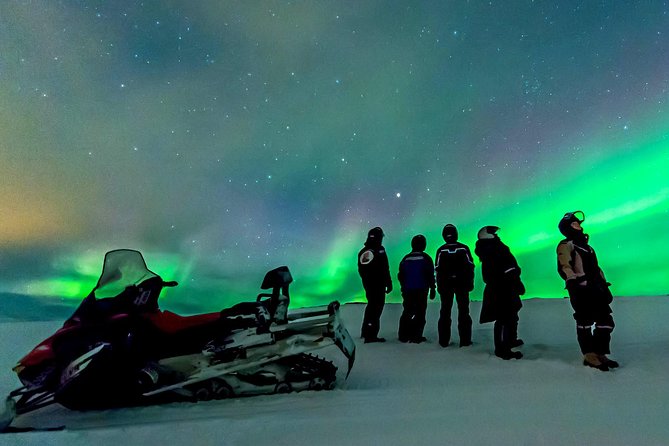 Northern Lights Snowmobile Safari From Rovaniemi With Campfire Picnic - Key Points