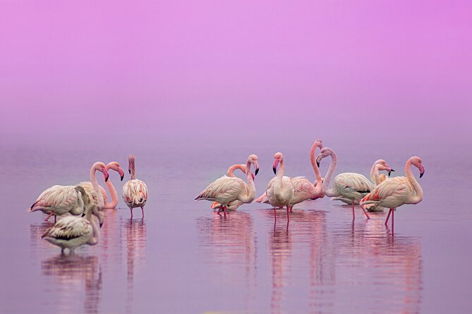 Pink Lakes & Sand Dunes of Baní - Unique Private Full-Day Tour - Tour Overview