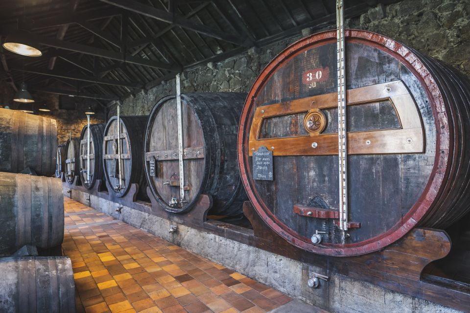 Porto: Burmester Cellar Tour With Tasting & Pairing Options - Key Points