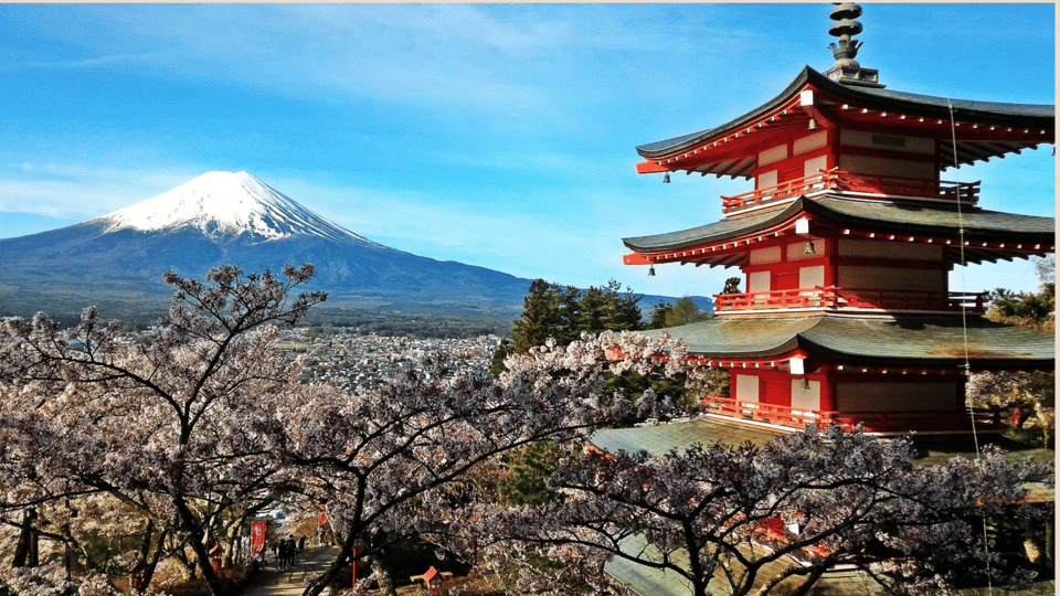 Private Mt. Fuji & Hakone Sightseeing Day Trip From Tokyo - Key Points