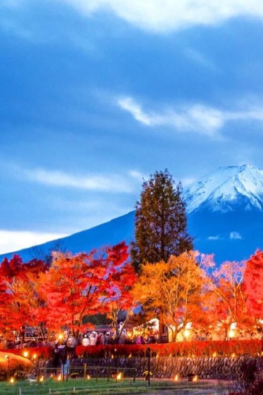 Tokyo: Mt. Fuji 5th Station, Oshino Hakkai, Onsen 1-Day Trip - Key Points