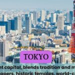 Tokyo Unforgettable Private Tour For Family(up To 6 Persons) Tour Overview And Pricing