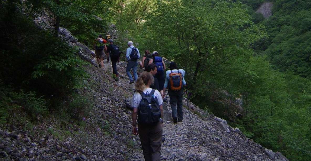 Vikos Gorge Full-Day Guided Hike - Key Points