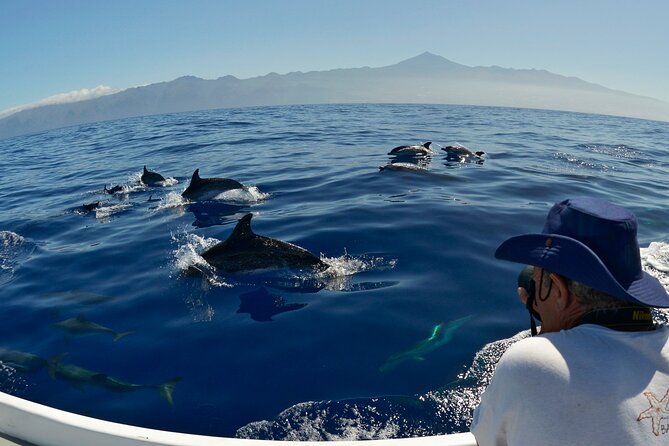 Whale and Dolphin Watching in Tenerife With Snorkeling - Inclusions and Amenities