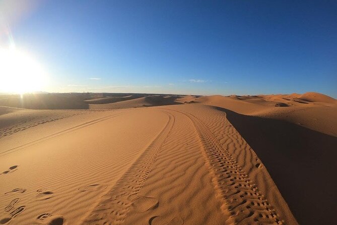 1 Hour ATV Quad Biking in Merzouga Desert & Sandboarding - Overview of the Experience