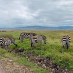 04 Days Tarangire, Serengeti And Ngorongoro Crater Group (camping Itinerary Highlights